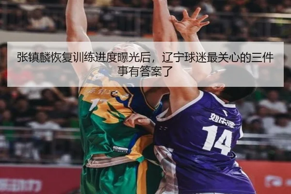 张镇麟恢复训练进度曝光后，辽宁球迷最关心的三件事有答案了 - yuntiyu